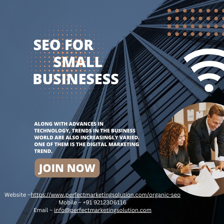 Drive Traffic and Conversions with SEO Expertise