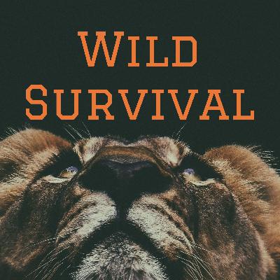 Juliane Koepcke - Plane Crash Survivor, Conqueror of the Amazon