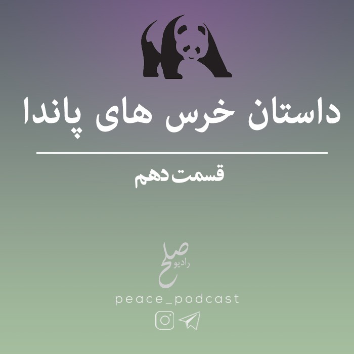 خرس های پاندا - اپیزود 10 - شب نهم