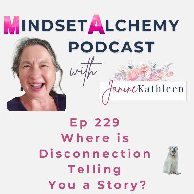 Ep 229 Where is Disconnection Telling You a Story?