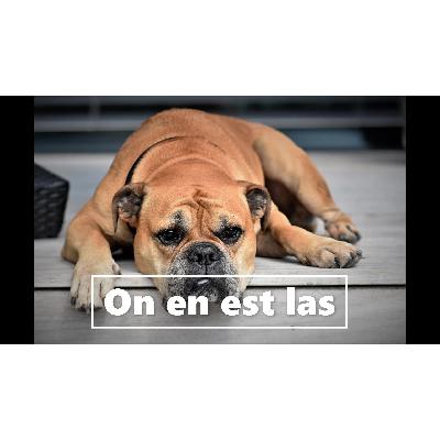 Le jour d'après Le jour d'après