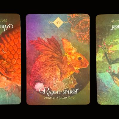 Sagittarius New Moon Card Reading: Past, Present, & Future Guidance with The Spirit Animal Oracle