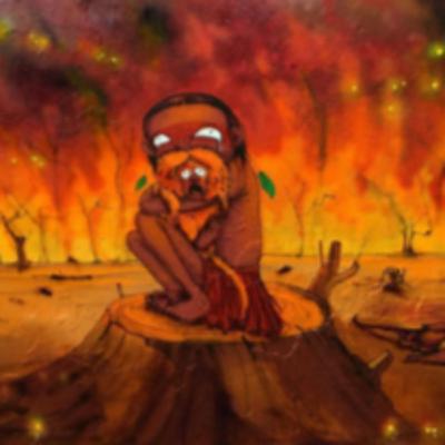 Desregulamentação da legislação ambiental - com profa. dra. Juliana Gerent