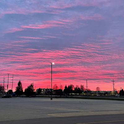 English multimedia project