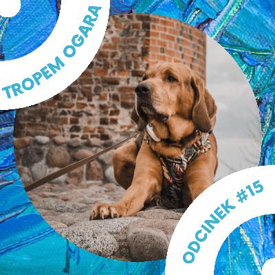 #15 Obalamy mity o psach!