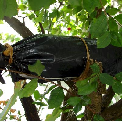 Aula 7 – Controle, manutenção e fiscalização