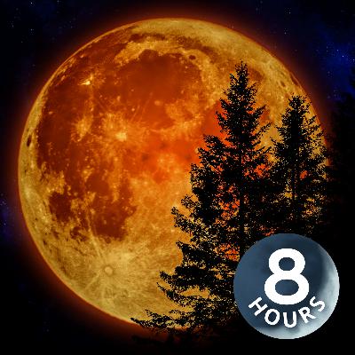 White Noise for Sleeping 8 Hours | Perfect for Autumn! White Noise for Sleeping 8 Hours | Perfect for Autumn!