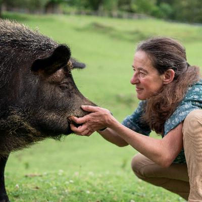 S2 Bonus Episode: "The Face" with Dany Celermajer
