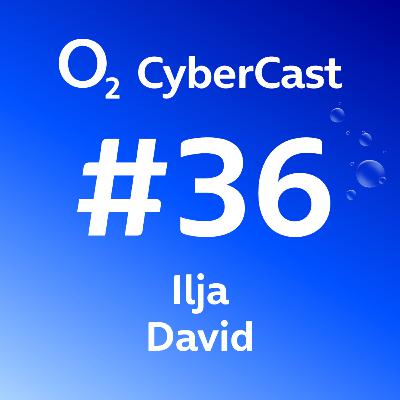 Ilja David: Pro kvalitní bezpečnost OT systémů jen IT security nestačí