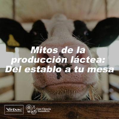 7. Mitos de la producción láctea: Del establo a tu mesa