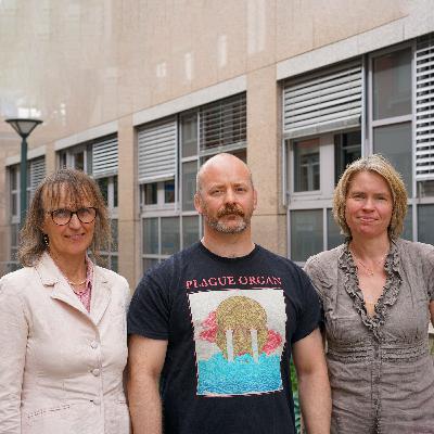 Kjapt forklart: Er det for mange på AAP?