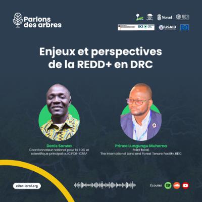 Enjeux et perspectives de la REDD+ en RDC