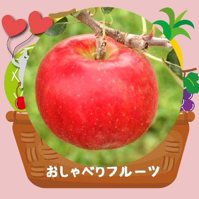 #44 リンゴ食べ比べその２、しなのスイート、紅将軍、昂林（こうりん）、秋陽、早生ふじ