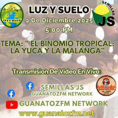 Luz y Suelo 9 De Diciembre 2025 Luz y Suelo 9 De Diciembre 2025