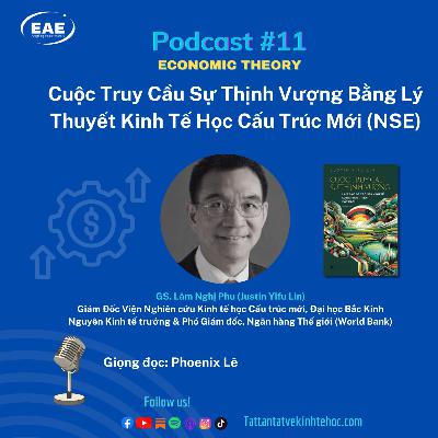 #11: Cuộc Truy Cầu Sự Thịnh Vượng Bằng Lý Thuyết Kinh Tế Học Cấu Trúc Mới (NSE) #11: Cuộc Truy Cầu Sự Thịnh Vượng Bằng Lý Thuyết Kinh Tế Học Cấu Trúc Mới (NSE)