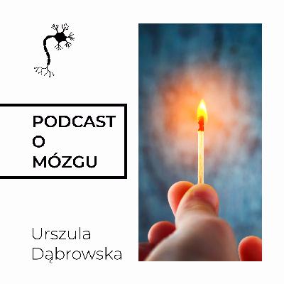 #055 Kortyzol Wredny i Zły