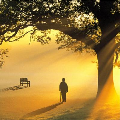 秦橙琼：我的初冬