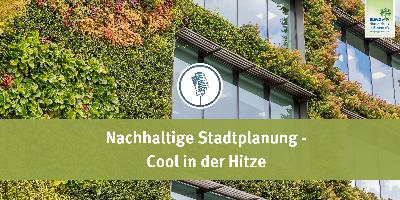 Teil 3: Nachhaltige Stadtplanung – Cool in der Hitze