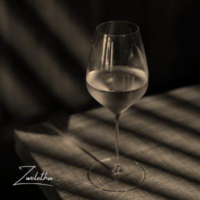 In Retrospect : The Curators' Cut Demos, Ep. 01 - white wine in amsterdamhoek (16-10-24) by zwelethu