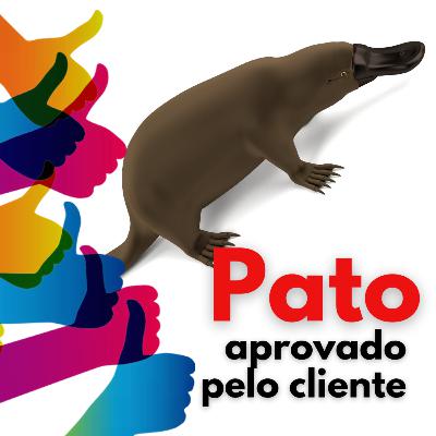Ornitorrinco é o pato aprovado pelo cliente!