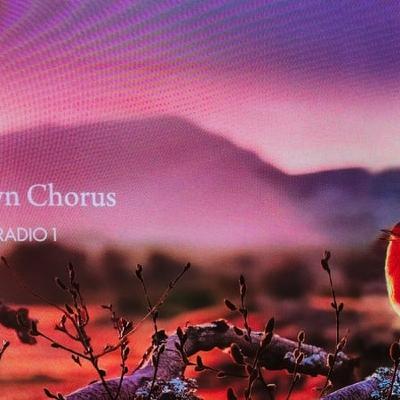 Make A Date For Dawn Chorus 2026: Sunday 3rd May