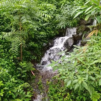 Our Vacation ~ Guest Starring My Sister Our Vacation ~ Guest Starring My Sister