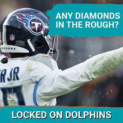 It's Time To Meet The NEW GUYS As Dolphins Infuse New Names Onto Their Roster In Search Of Gems It's Time To Meet The NEW GUYS As Dolphins Infuse New Names Onto Their Roster In Search Of Gems