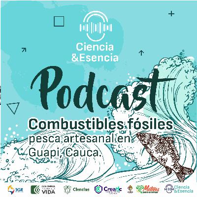 Combustible fósiles, pesca artesanal en Guapi Cauca 🦐