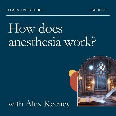 How does anesthesia work?
