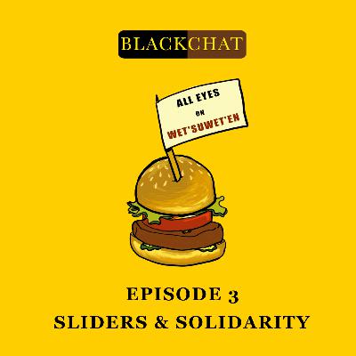 003: Sliders and Solidarity