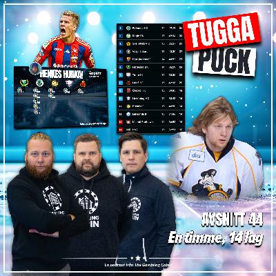 Avs.44 - En timme, 14 lag