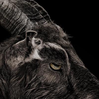 Folk Horror: The Witch
