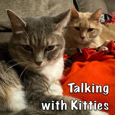 Priorities Priorities