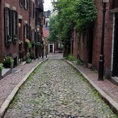 Our Backyard in Boston Our Backyard in Boston