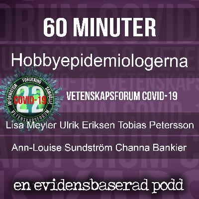 Hobbyepidemiologerna