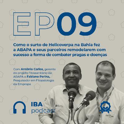 #9 Como o surto de Helicoverpa na Bahia fez a ABAPA e seus parceiros remodelarem com sucesso a forma de combater pragas e doenças