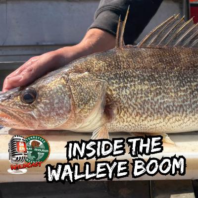 #464 Inside the Walleye Boom: Fast Growth, Big Bites & Hatchery Heroes #464 Inside the Walleye Boom: Fast Growth, Big Bites & Hatchery Heroes