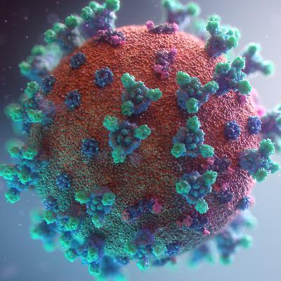 EP45: Tips for travelling during a pandemic EP45: Tips for travelling during a pandemic