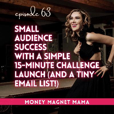 Small Audience Success: How Organizer Caroline Thor Filled 16 Membership Spots with a Simple 15-Minute Challenge Launch (and a Tiny Email List!) [Ep. 63]