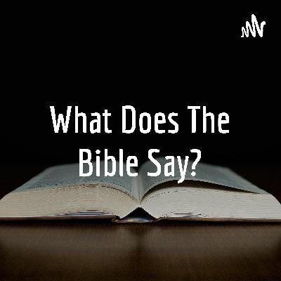 Liberty Love Spirit Liberty Love Spirit