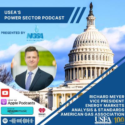 USEA Power Sector Podcast Episode 163: American Gas Association Vice President of Energy Markets, Analysis and Standards Richard Meyer