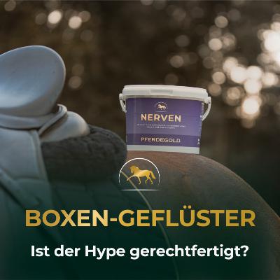 Schreckhaftes Pferd: Was steckt hinter dem Hype um Pferdegold Nerven?