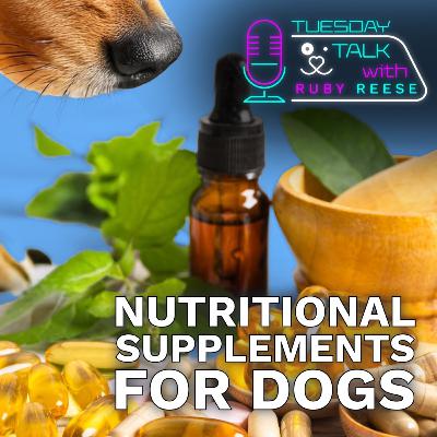 Nutritional Supplements for Dogs