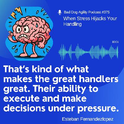 375: When Stress Hijacks Your Handling