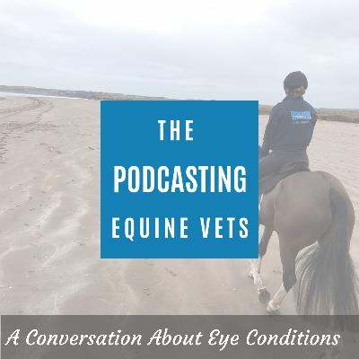 A Conversation About Eye Conditions