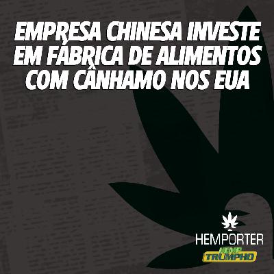 Empresa chinesa investe US$ 10 milhões em fábrica de alimentos com cânhamo nos EUA Empresa chinesa investe US$ 10 milhões em fábrica de alimentos com cânhamo nos EUA