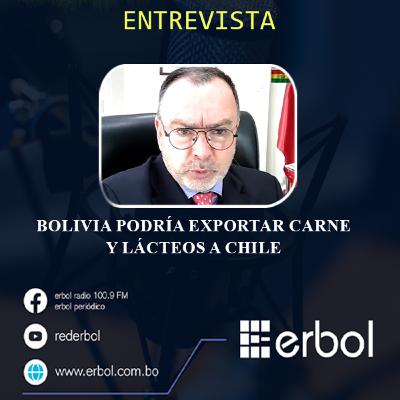 Bolivia podría exportar carne y lácteos a Chile