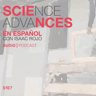 📰 Investigadores crean la primera casa de bajo costo utilizando...pañales! como material de construcción
