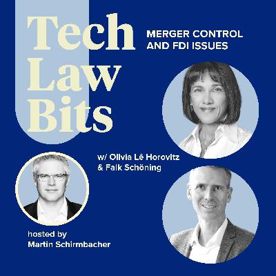 Merger control and FDI issues