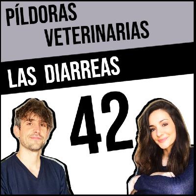 42. Las diarreas #veterinaria #veterinario #perro #gato